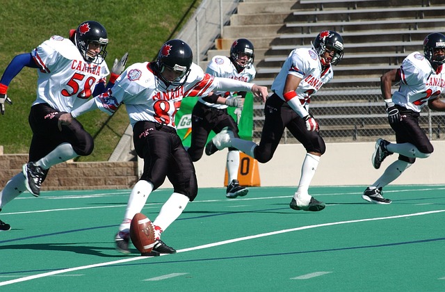 新奥尔良鹈 新奥尔良鹈