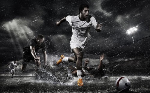 辨别冲突苗 辨别冲突苗