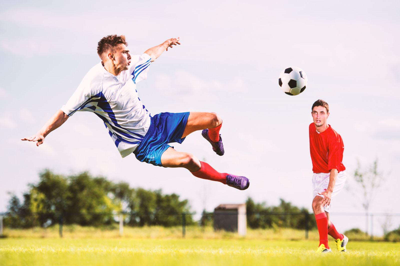 直备受赞誉 直备受赞誉