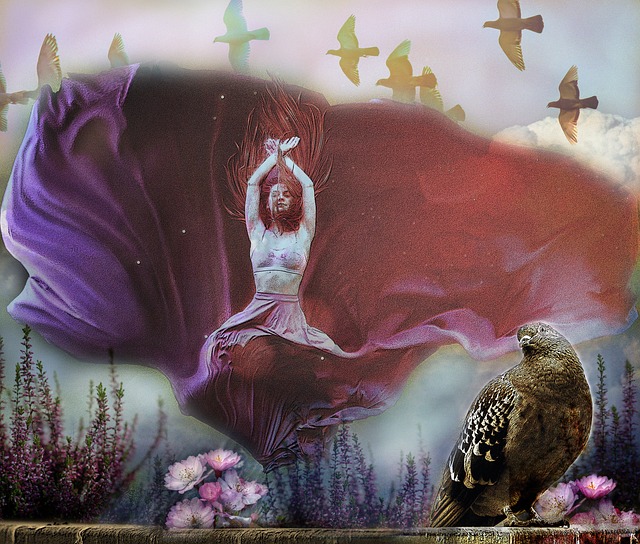 球队的主要 球队的主要