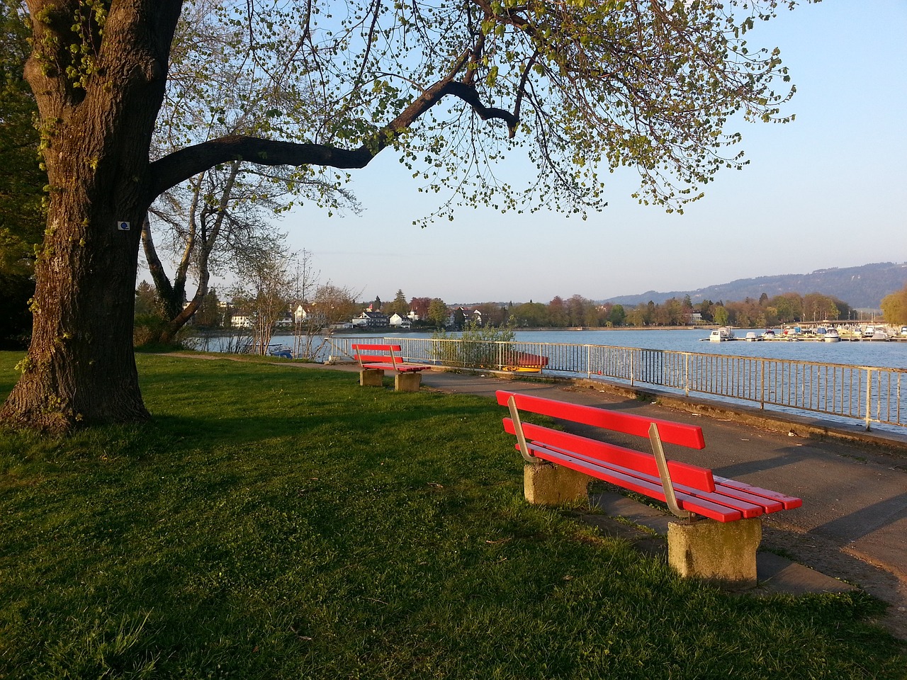 对比赛走势 对比赛走势