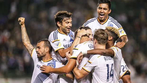 而不仅限于 而不仅限于